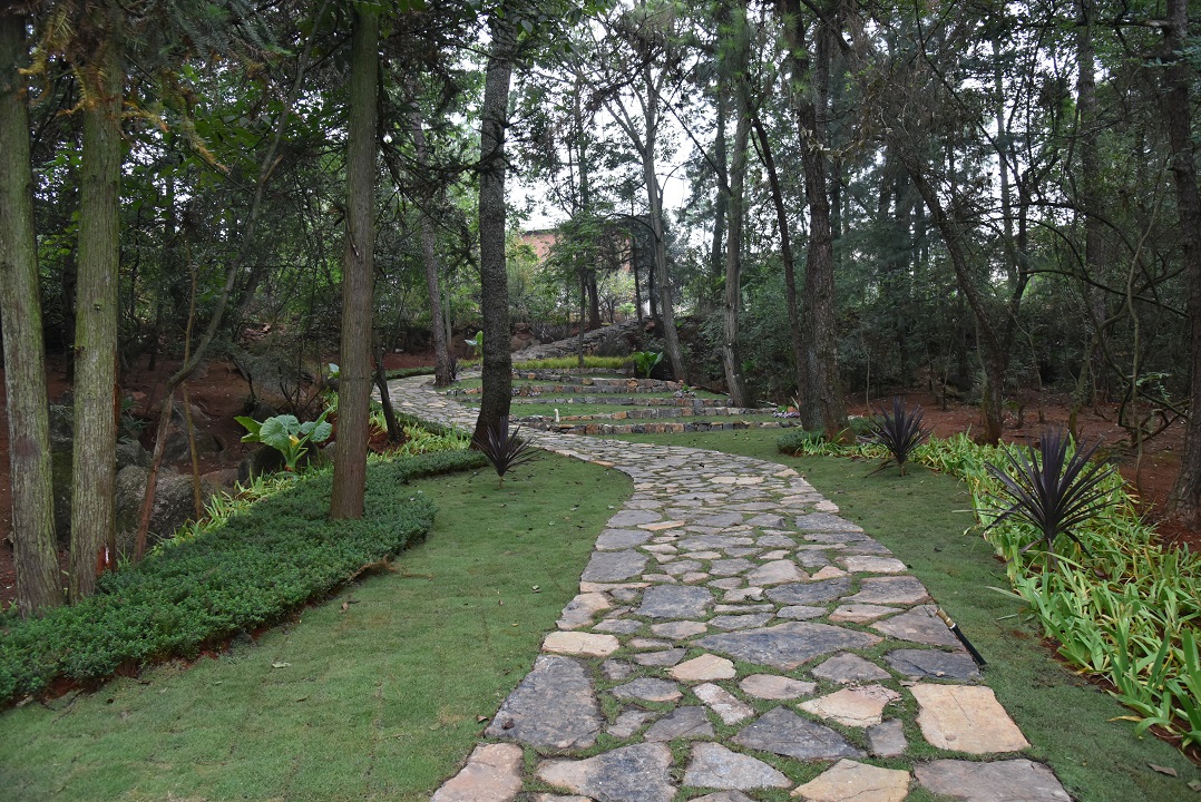 冒水洞鄉(xiāng)村振興示范點(diǎn)景觀打造 (2).JPG