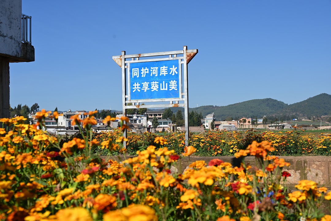 2.金馬河花開(kāi)1 (5).jpg